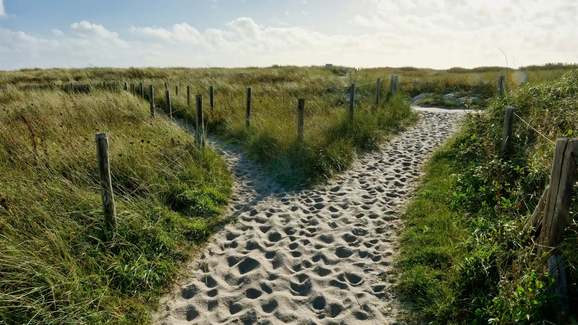 Professionnels en transition de carrière travaillant sur leur projet d'impact professionnel